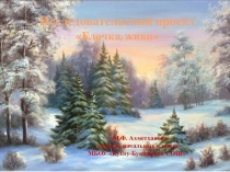 Исследовательский проект Ёлочка, живи!