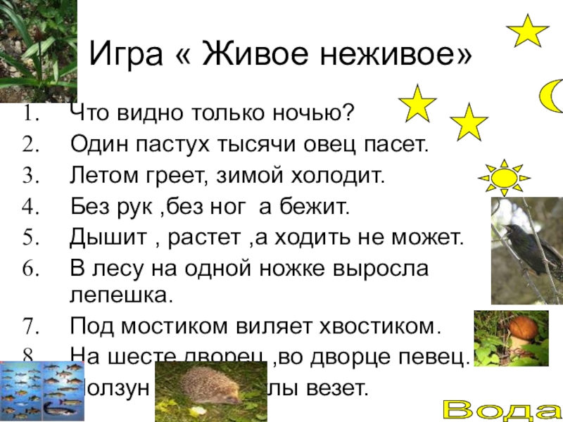 Единство живой и неживой природы. Летом греет зимой холодит география 5.