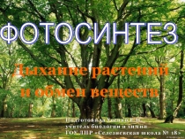 Презентация по биологии на тему Фотосинтез