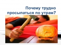 Презентация к уроку окружающего мира