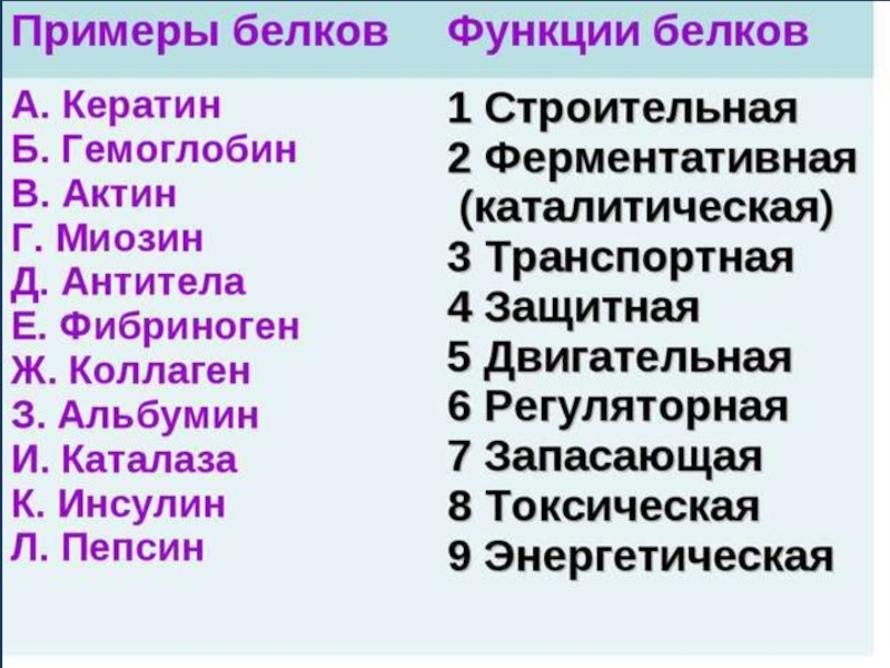 Названия белков. Функции белков 10 класс биология. Функции белков таблица название и функции. Функции белков в организме биология. Белки примеры.