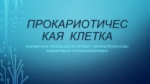 Презентация по биологии на тему Прокариотическая клетка (9 класс)
