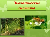 Презентация по окружающему миру 2 класс Экологические системы