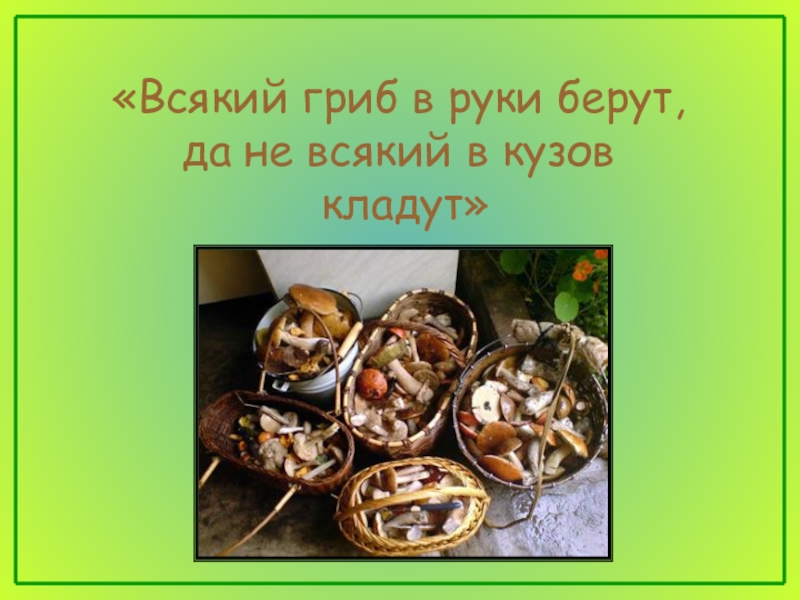 Не всякий. Всякий гриб в руки берут, да не всякий в кузовок кладут. Всякий гриб в руки берут да не всякий в кузов кладут окружающий мир. Всякий гриб в руки берут да не всякий в кузов кладут иллюстрация.