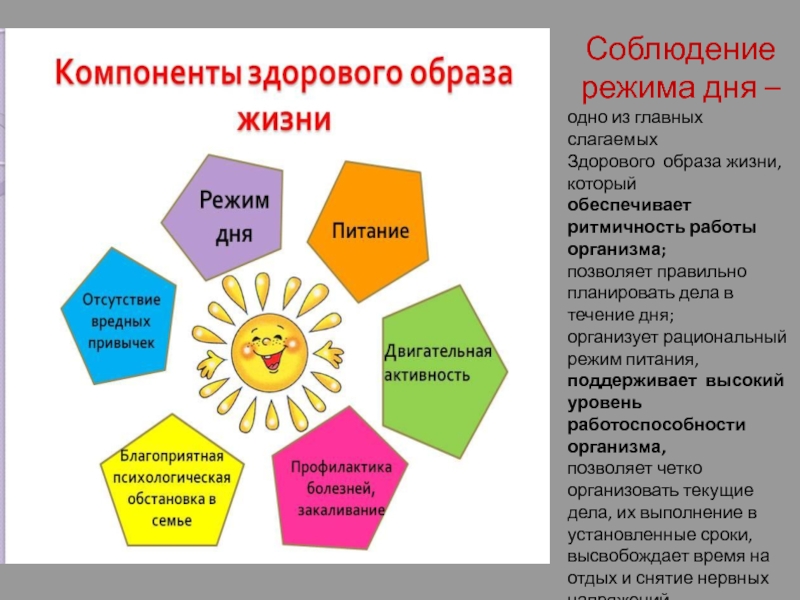 Режим здоровой. Соблюдение режима дня. Соблюдение режима дня ЗОЖ. Распорядок дня для здорового образа жизни. Режим дня ЗОЖ.