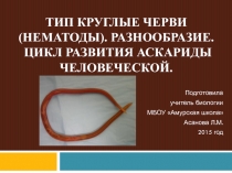 Презентация по биологии на тему Тип круглые черви (7 класс)