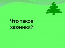 Презентация к уроку окружающего мира  Что такое хвойнки?