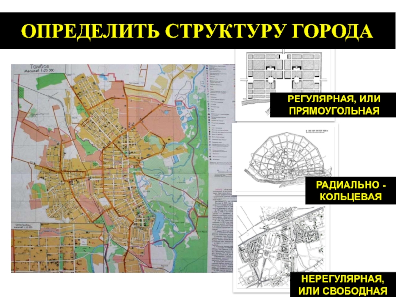 Структура города санкт петербург