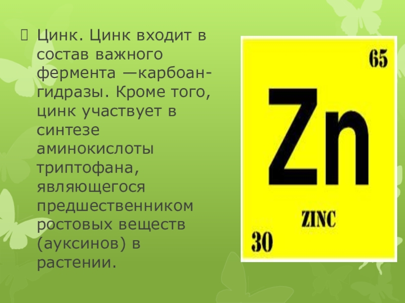 Карбоангидраза формула. Негативное влияние цинка на организм человека. Какой элемент входит в состав инсулина. Цинк входит в состав фермента. Цинк входит в состав.