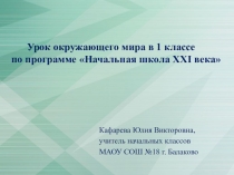 Презентация к уроку окружающий мир 1 класс
