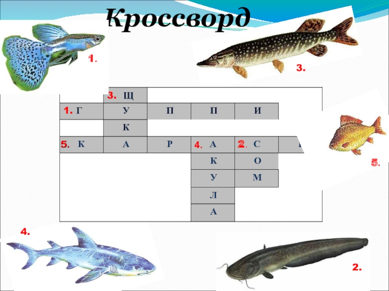 Морской кроссворд. Кроссворд на тему подводный мир. Подводный мир кроссворд для детей. Кроссворд морские обитатели. Кроссворд на тему морские обитатели.