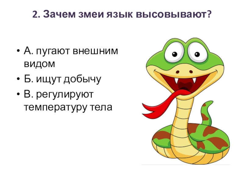 Язык змеи рисунок