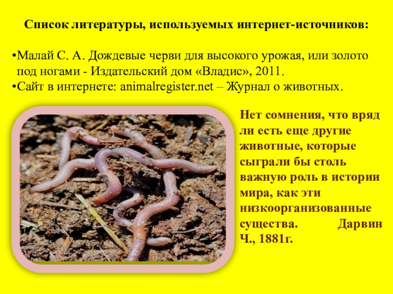 Сообщение о червях. Презентация про червей. Доклад про дождевых червей.