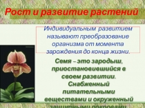 Презентация по биологии на тему Условия прорастания семян.