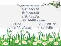 Презентация к уроку Генетика пола и наследование, сцепленное с полом 11 класс (базовый уровень)