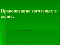 Презентация по русскому языку на тему Правописание согласных в корне(3класс)