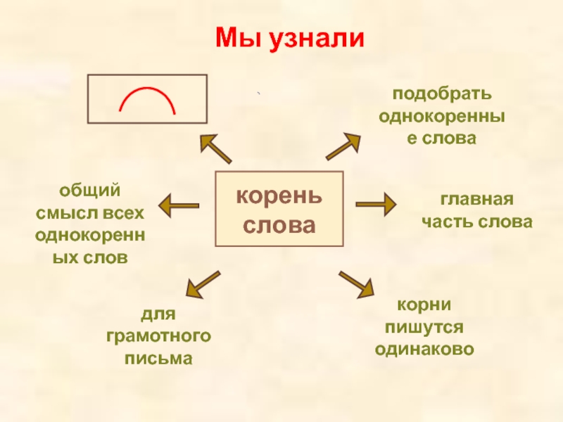 Презентация корень слова