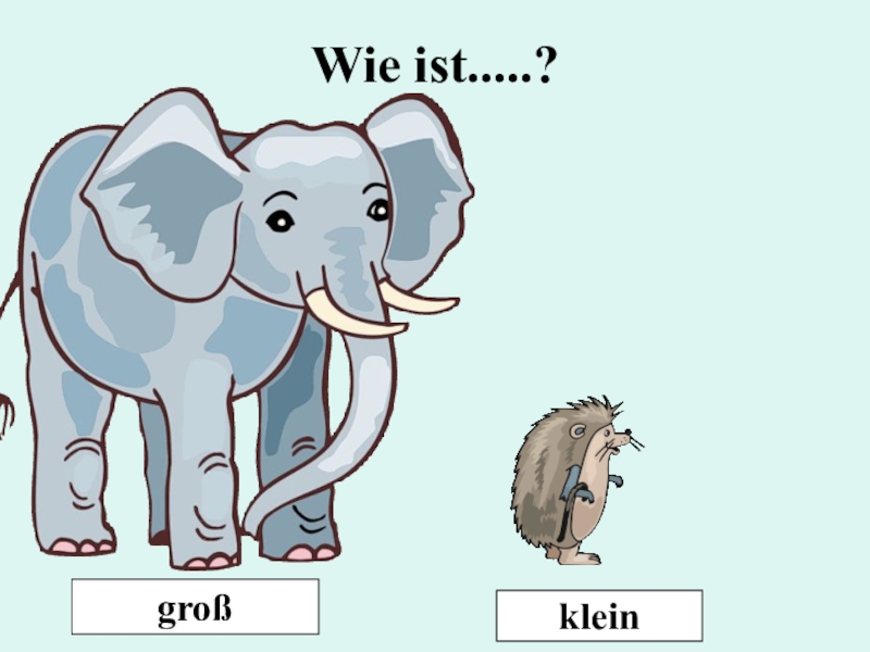 Groß oder. Groß oder. Groß oder. Groß oder. Groß oder.