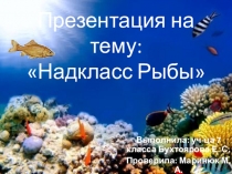 Презентация к уроку биологии 7 класс