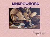 Презентация Микрофлора сырья