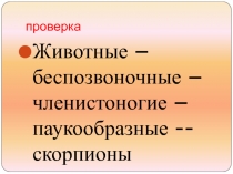 Презентация к уроку Класс насекомые