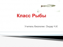 Презентация урока по биологии на тему Класс рыбы (7 класс)