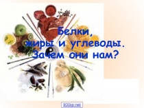 Презентация по биологии белки углеводы