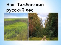 Презентация по биологии Наш Тамбовский русский лес