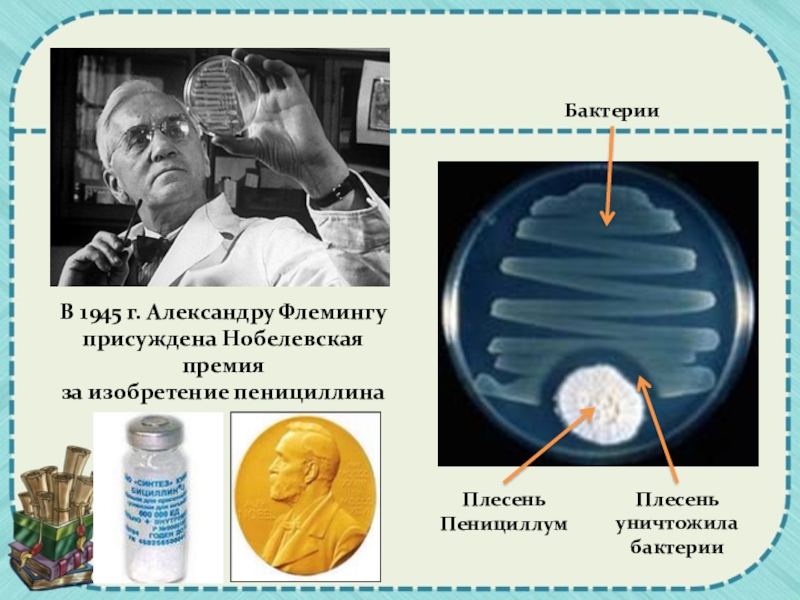 Пенициллин картинки для презентации