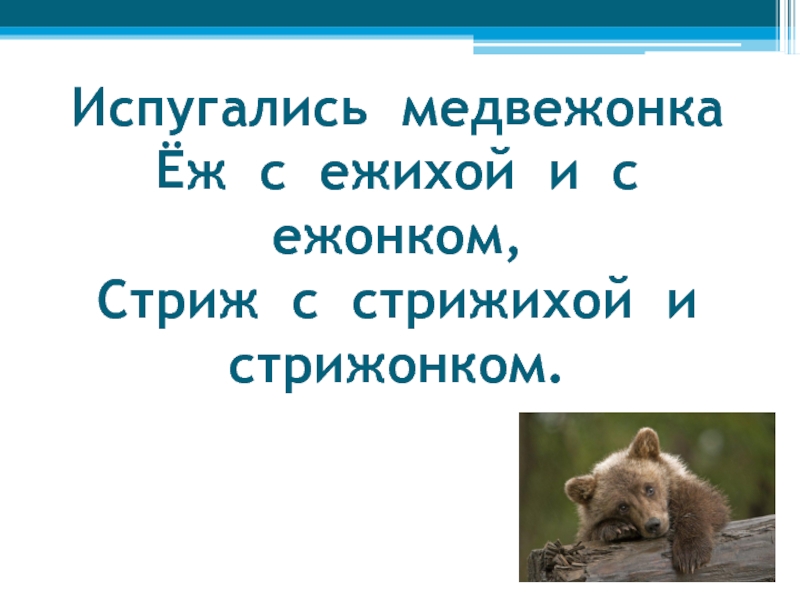 Испугались медвежонка еж с ежихой и с ежонком стриж с стрижихой и стрижонком рисунок