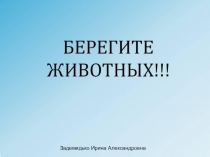 ПРЕЗЕНТАЦИЯ В СТАРШЕЙ ГРУППЕ НА ТЕМУ  БЕРЕГИТЕ ЖИВОТНЫХ