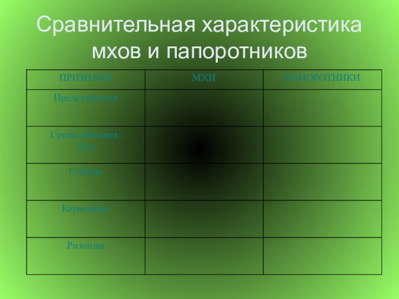 Сравнение папоротников. Сравнительная характеристика мхов и папоротников. Сравнительная характеристика мохообразных и папоротникообразных.. Характеристика мхов и папоротников. Сравнительная характеристика папоротникообразных.