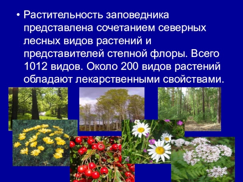 Презентация на тему заповедники воронежской области