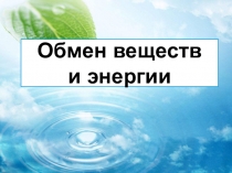 Презентация по биологии на тему Обмен веществ. Фотосинтез