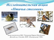 Исследовательская акция Птичья столовая