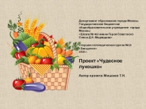 Презентация проекта Чудесное лукошко