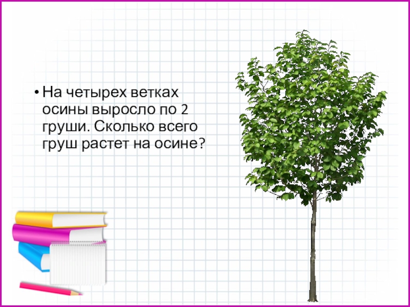 Дерево вопросов. Сколько растет осина. Что растет на ветках осины. Словосочетание ветка осины. Сколько лет растет осина.