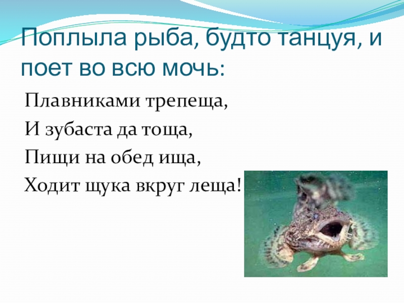 Поплыла рыба, будто танцуя, и поет во всю мочь:Плавниками трепеща,И зубаста да тоща,Пищи на обед ища,Ходит щука