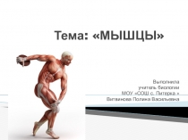 Презентация по биологии на тему: Мышцы 8 класс