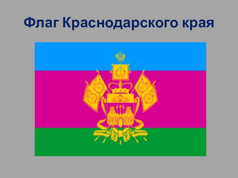 Краснодар флаг