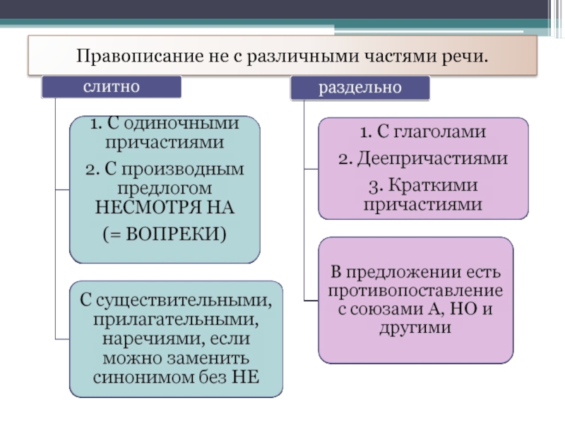 Правописание не с различными частями речи.