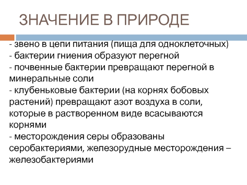 - звено в цепи питания (пища для одноклеточных)- бактерии гниения образуют перегной- почвенные бактерии превращают перегной в