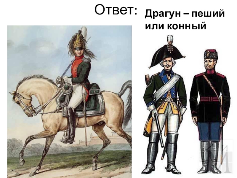 Кто такой улан. Драгуны это в Бородино. Уланы и драгуны что это в Бородино. Пешие драгуны. Кто такие драгуны.