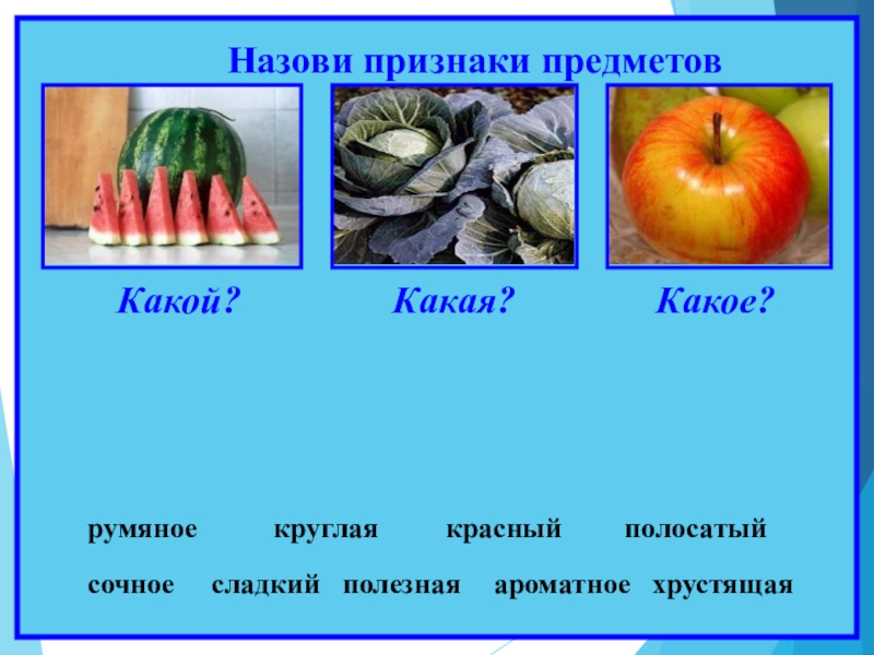 Какая называется. Признак предмета. Назови признаки предметов. Какой признак предмета. Какой какая признак предмета.