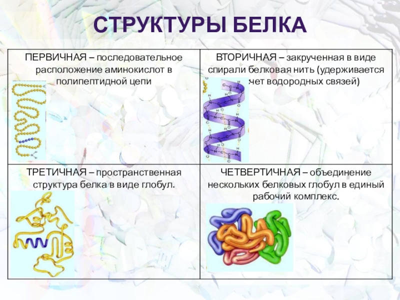 Схема первичной структуры белка