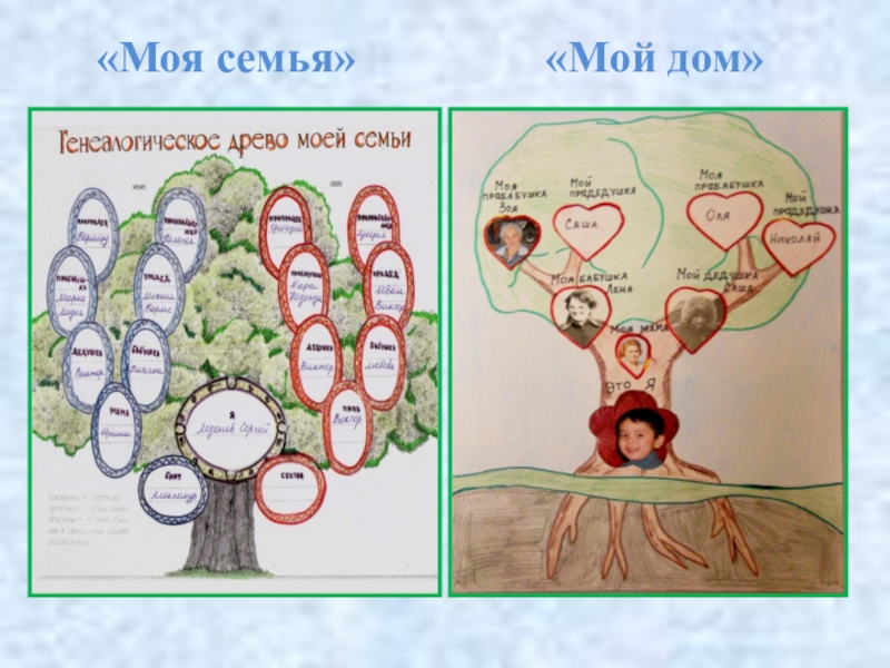 Нарисовать родословную окружающий мир 2 класс