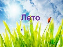 Лето
