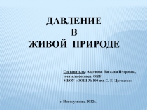 Презентация Давление в живой природе