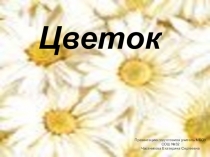 Презентация к уроку биологии 6 класс Цветок Пасечник.