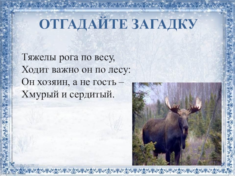 ОТГАДАЙТЕ ЗАГАДКУ Тяжелы рога по весу,Ходит важно он по лесу:Он хозяин, а не гость –Хмурый и сердитый.